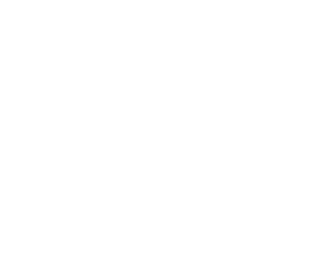 Seso